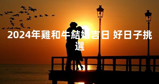 2024年雞和牛結婚吉日 好日子挑選